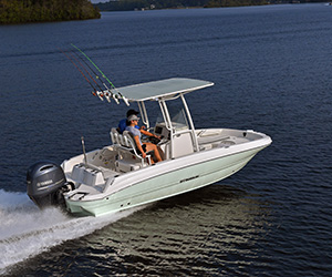 pontoon at dock family plays on land